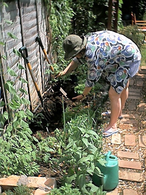 Judith Planting Tomatoes (19 July)